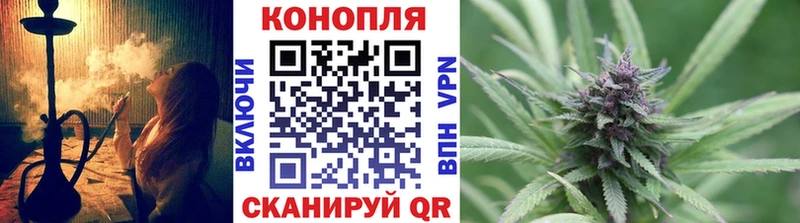 Канабис конопля  Изобильный 